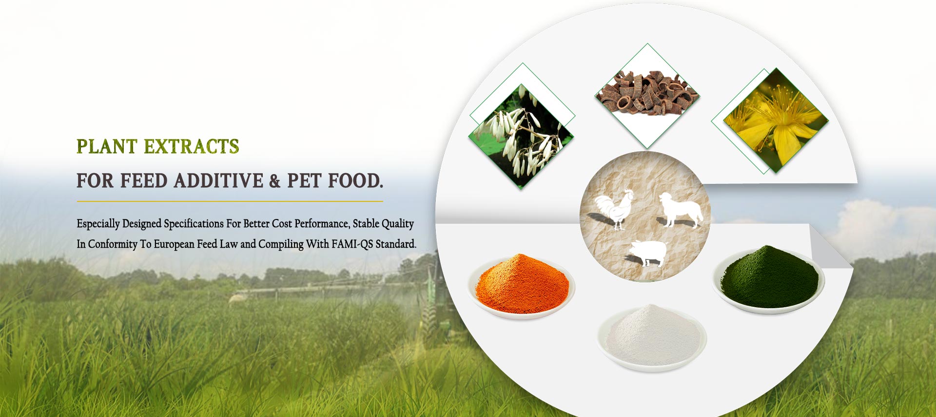 Plant Extracts for Feed Additive & Pet Food