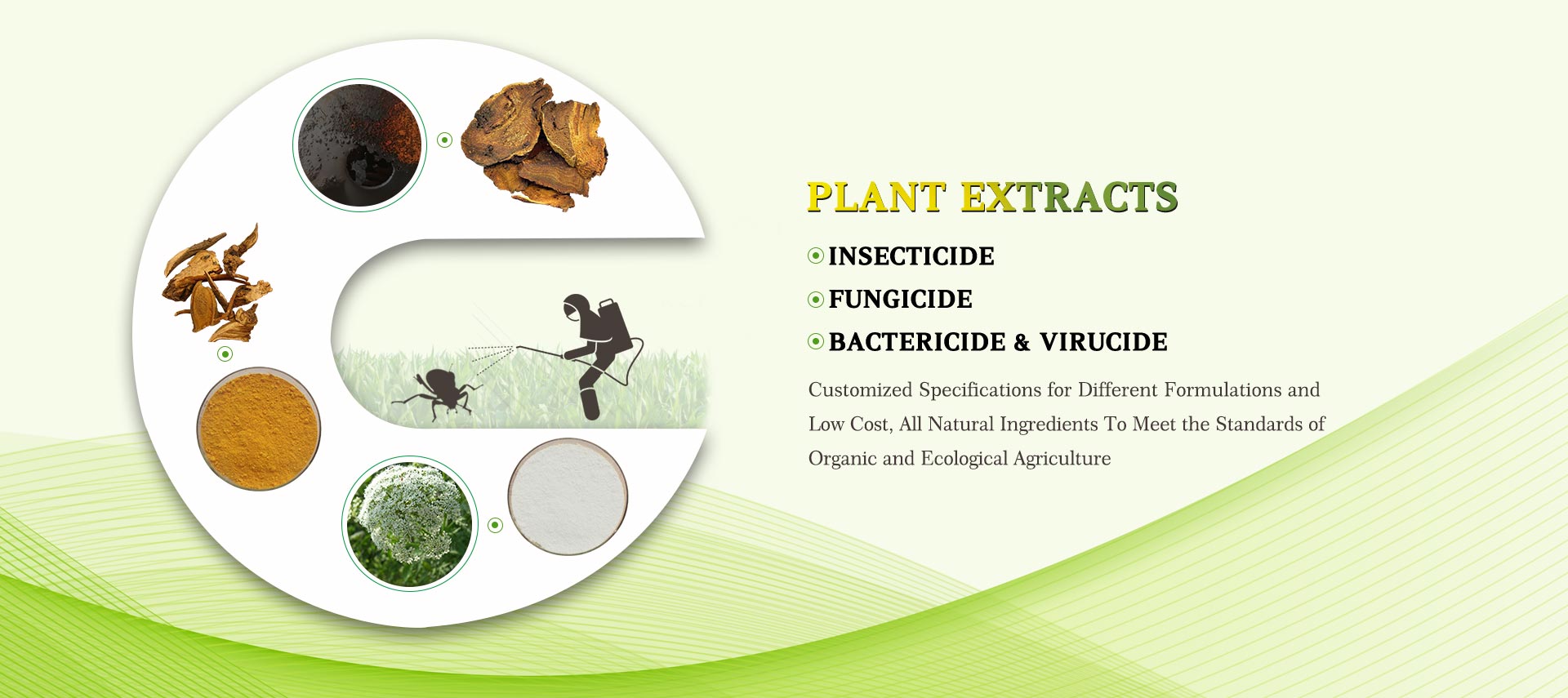 Plant Extracts for Insecticide, Fungicide, Bactericide & Virucide