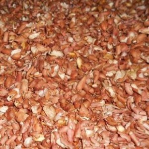 Peanut Red Skin Extract, Proanthocyanidins, Polyphenols